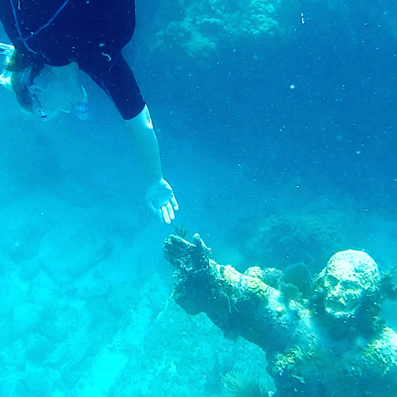 Mrs Padilly diving Christ of the Abyss